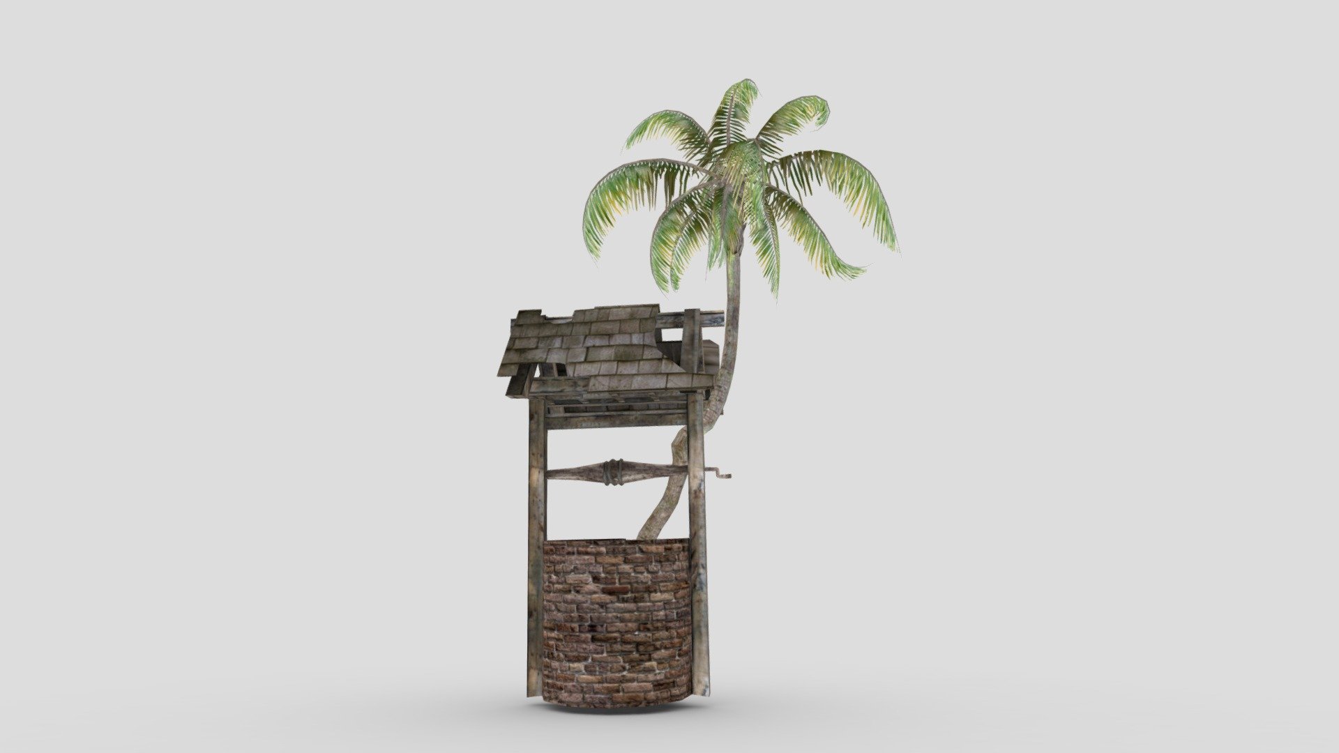 Thumb Palm In Well