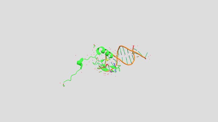 MBD4 STRUCTURE 440024387 3D Model