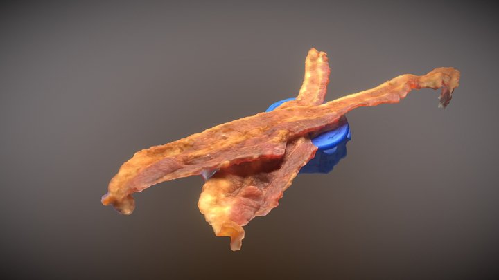 Baconhair 3D models - Sketchfab