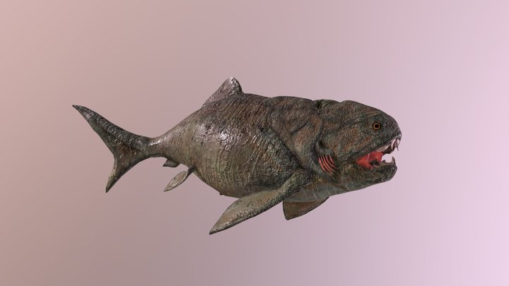 Dunkleosteus terelli Swim 3D Model