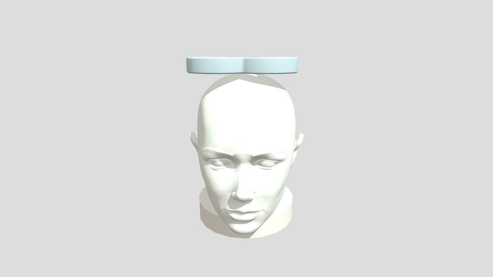 TMSOCD 3D Model