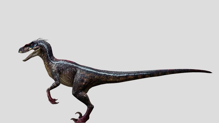 DracoWarrior's Male Velociraptor 3 – Modello 3D gratuito STL