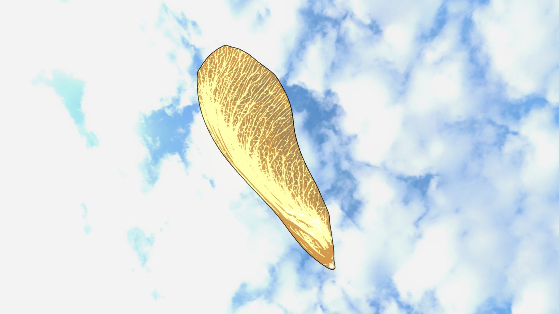 Maple Seed In Air
