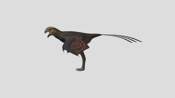 Yi Qi Male Accurate Rigged 3D Model