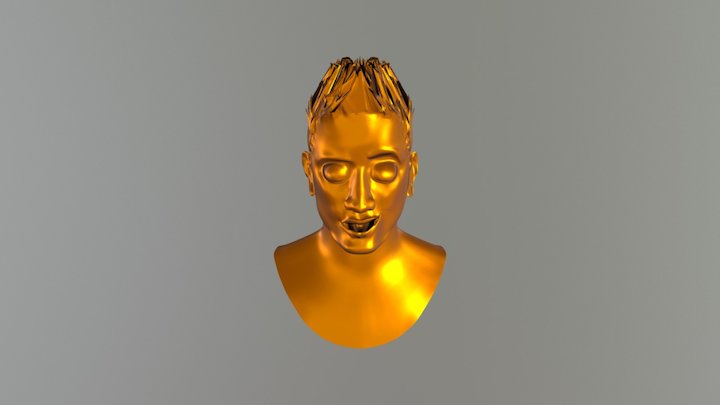 Cara Sirve 3D Model