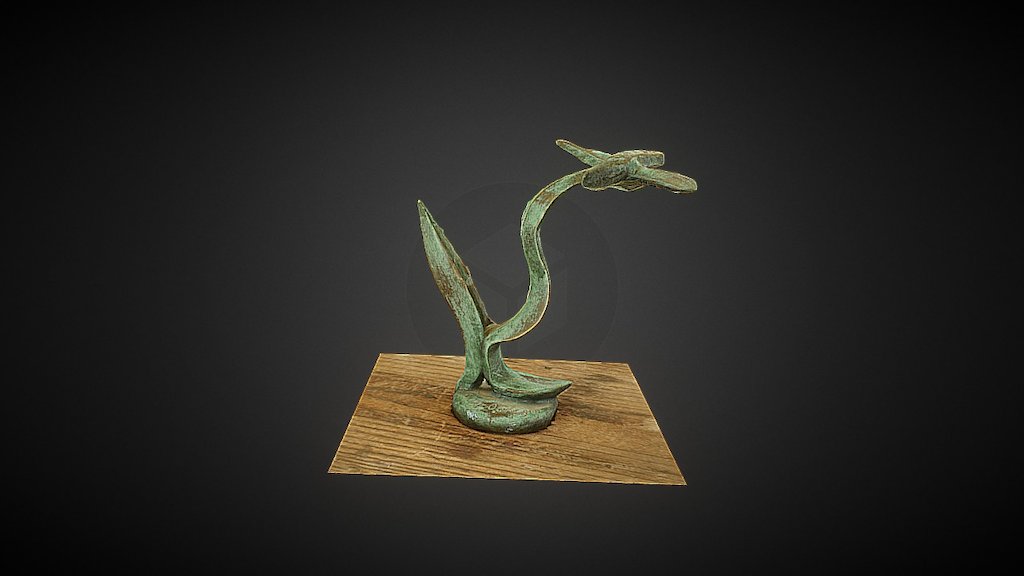 Gaviota
