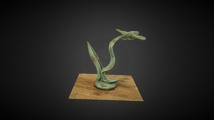 Gaviota 3D Model