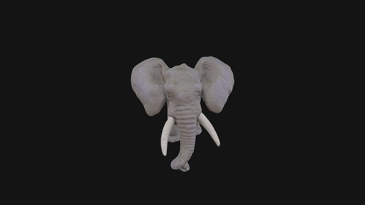 elephant001 3D Model
