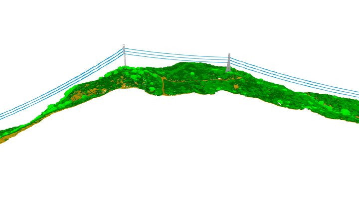 GGI LiDAR Transmission Powerline Vegetation _1 3D Model