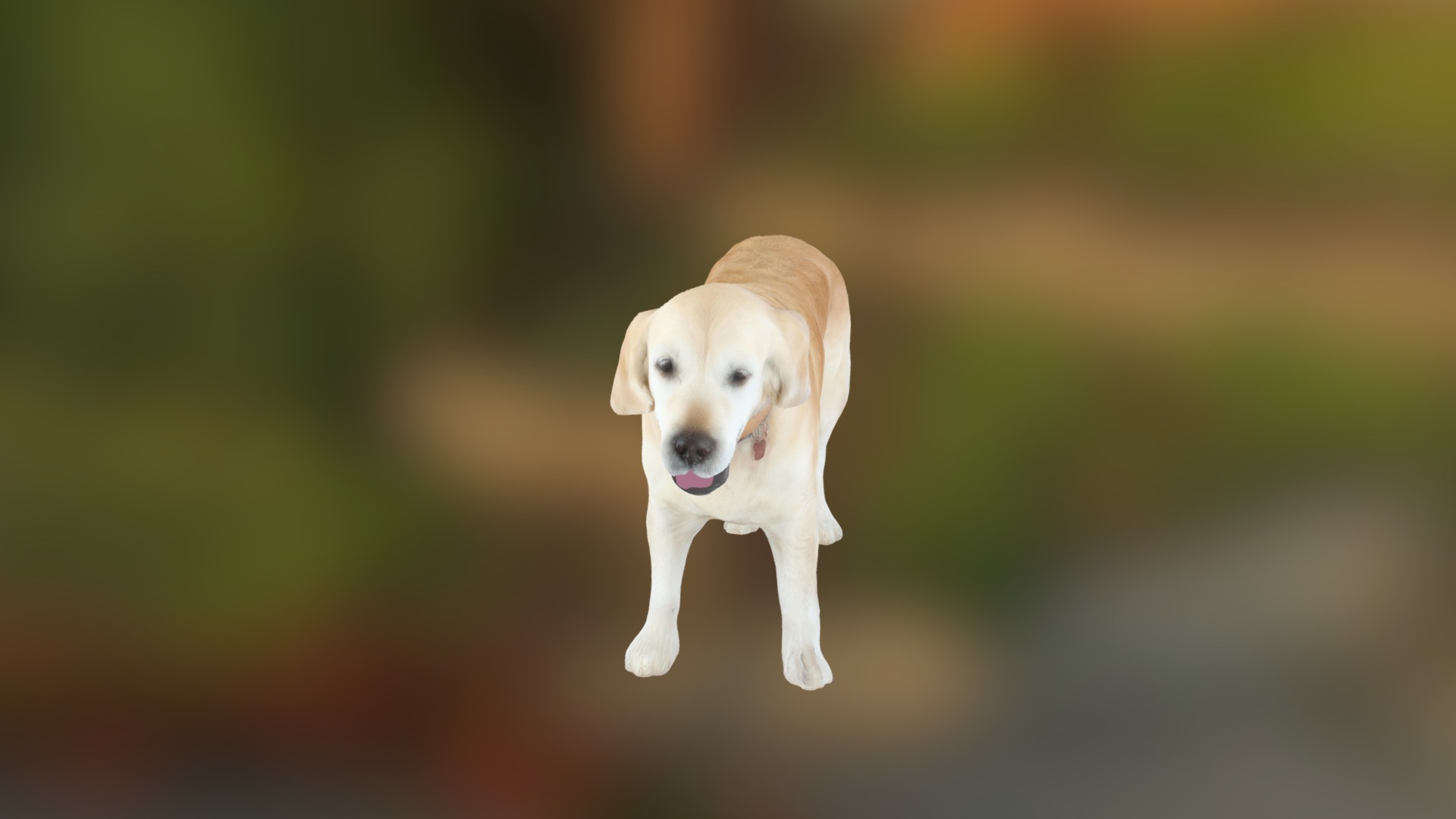3D model Gaz - This is a 3D model of the Gaz. The 3D model is about a dog running in the grass.