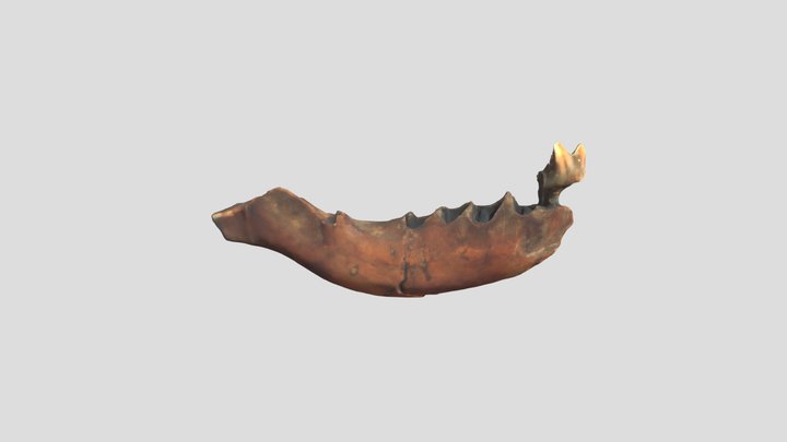JS242 3D Model