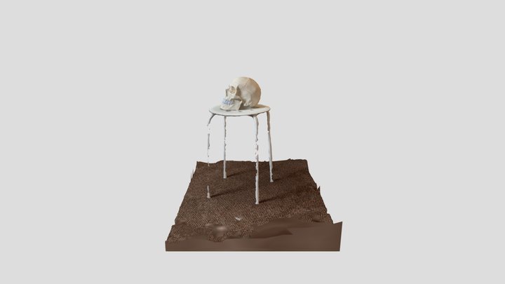 Skull trial scan 3D Model
