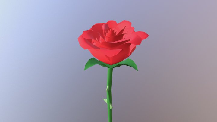 Roos 3D Model