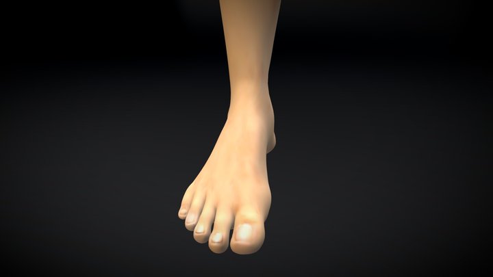 rightfoot Normal 3D Model
