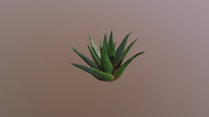 Kevin 3D Model