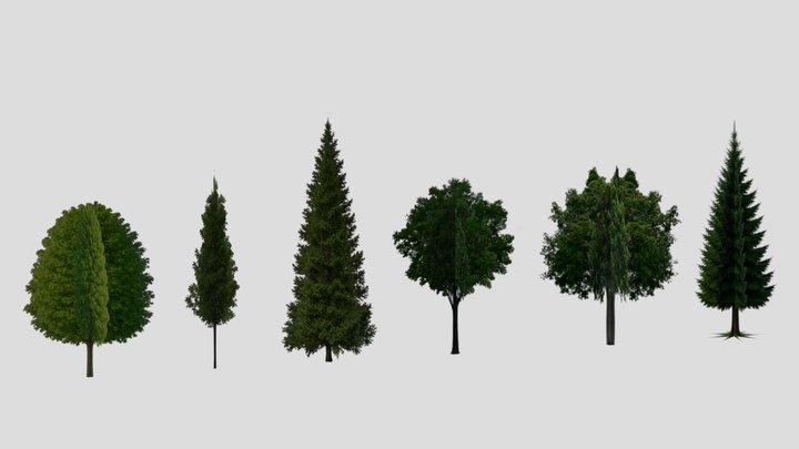 Tree Pack 3D Model