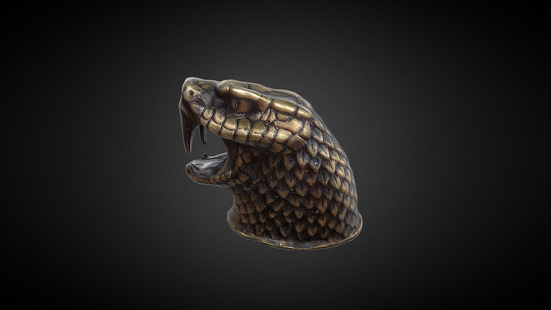 3D model Snake head Asset - This is a 3D model of the Snake head Asset. The 3D model is about a turtle with a black background.