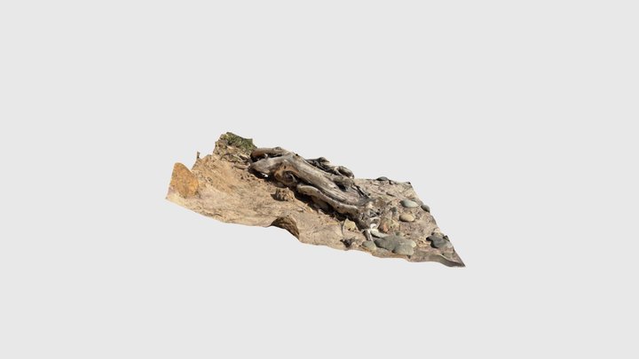 Stranded log at Pfeiffer Beach - California 3D Model