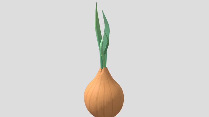 Onion 3D Model