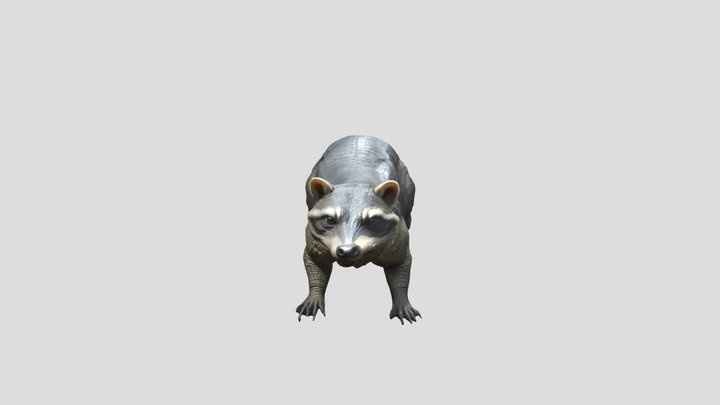 Raccoon_ Crocodile_ Hyb_0210113100_texture_fbx 3D Model
