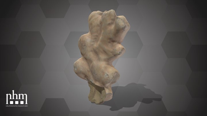 Ginger (NHMW-AFW-DING-0046-046) – Modello 3D gratuito STL