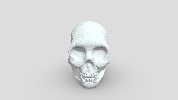 TENTATIVA 3D Model
