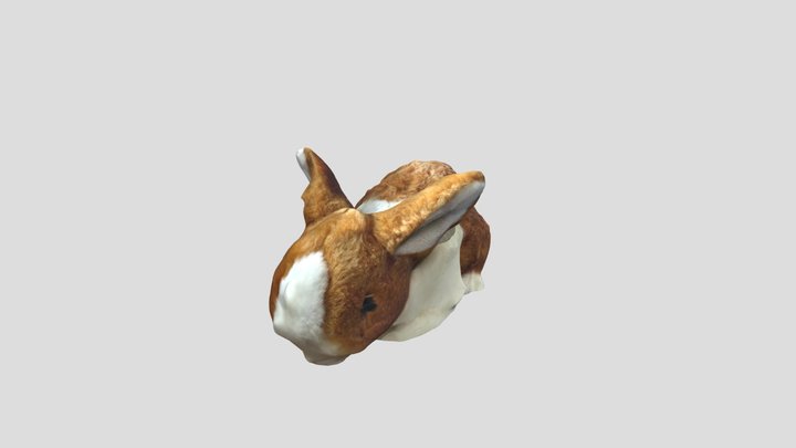 Bunny 3D Model
