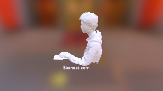 New Skanect Model 3D Model