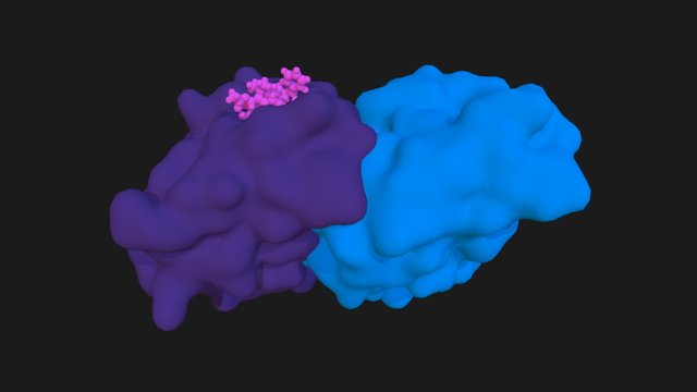 PTX and microtubule 3D Model