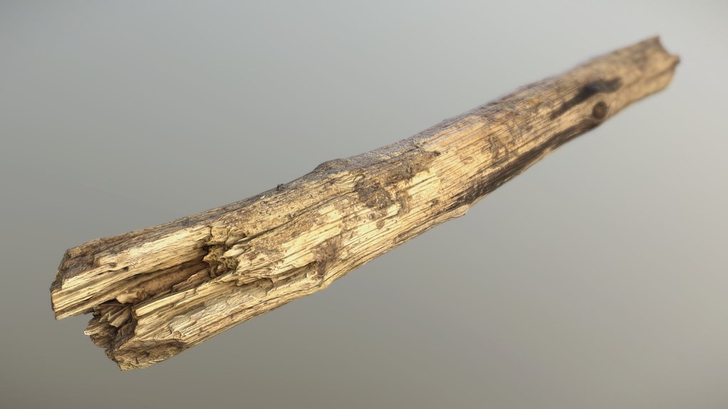 Wood Stick 06