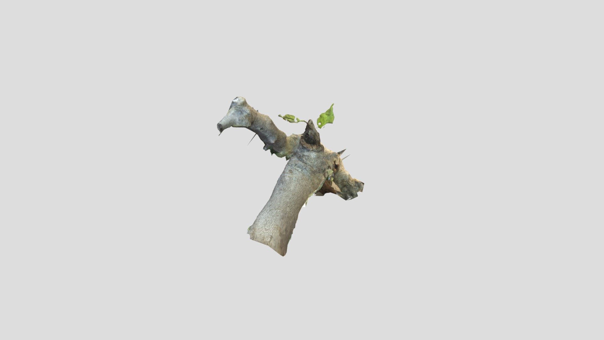 Sculpture Garden Tree