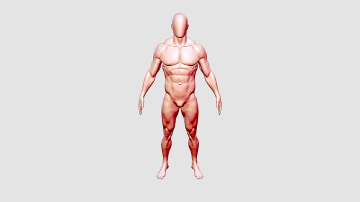 body_male_white 3D Model