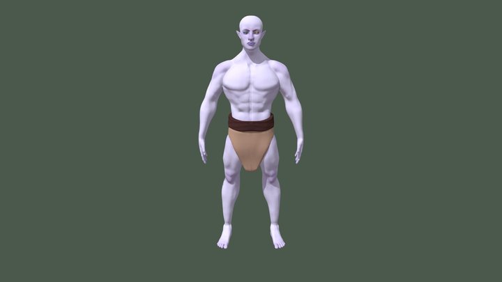 Patupaiarehe 3D Model