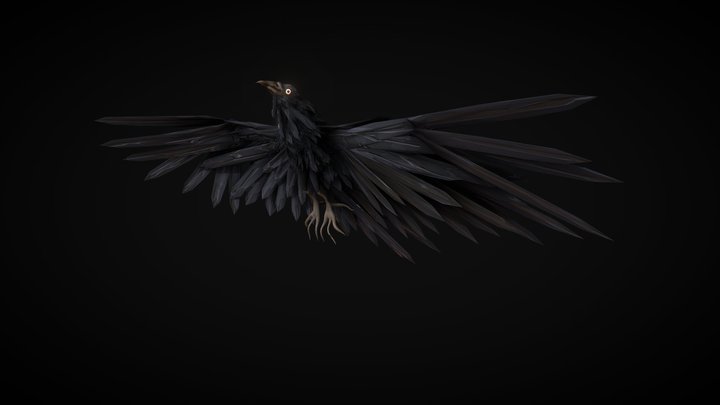 Black Crow Bird 3D Model