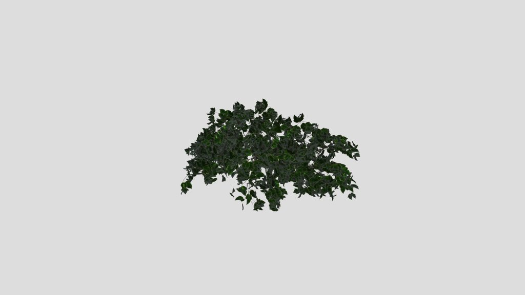 Simple Hanging Wall Plant