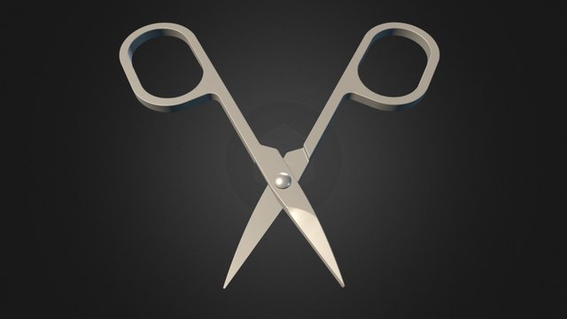 Nail Scissors 3D Model