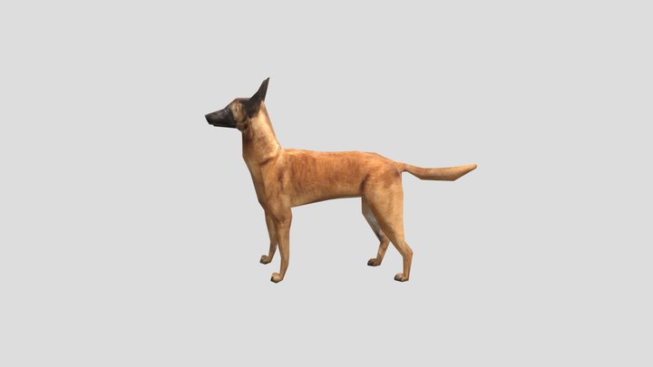 Dog 3D Model