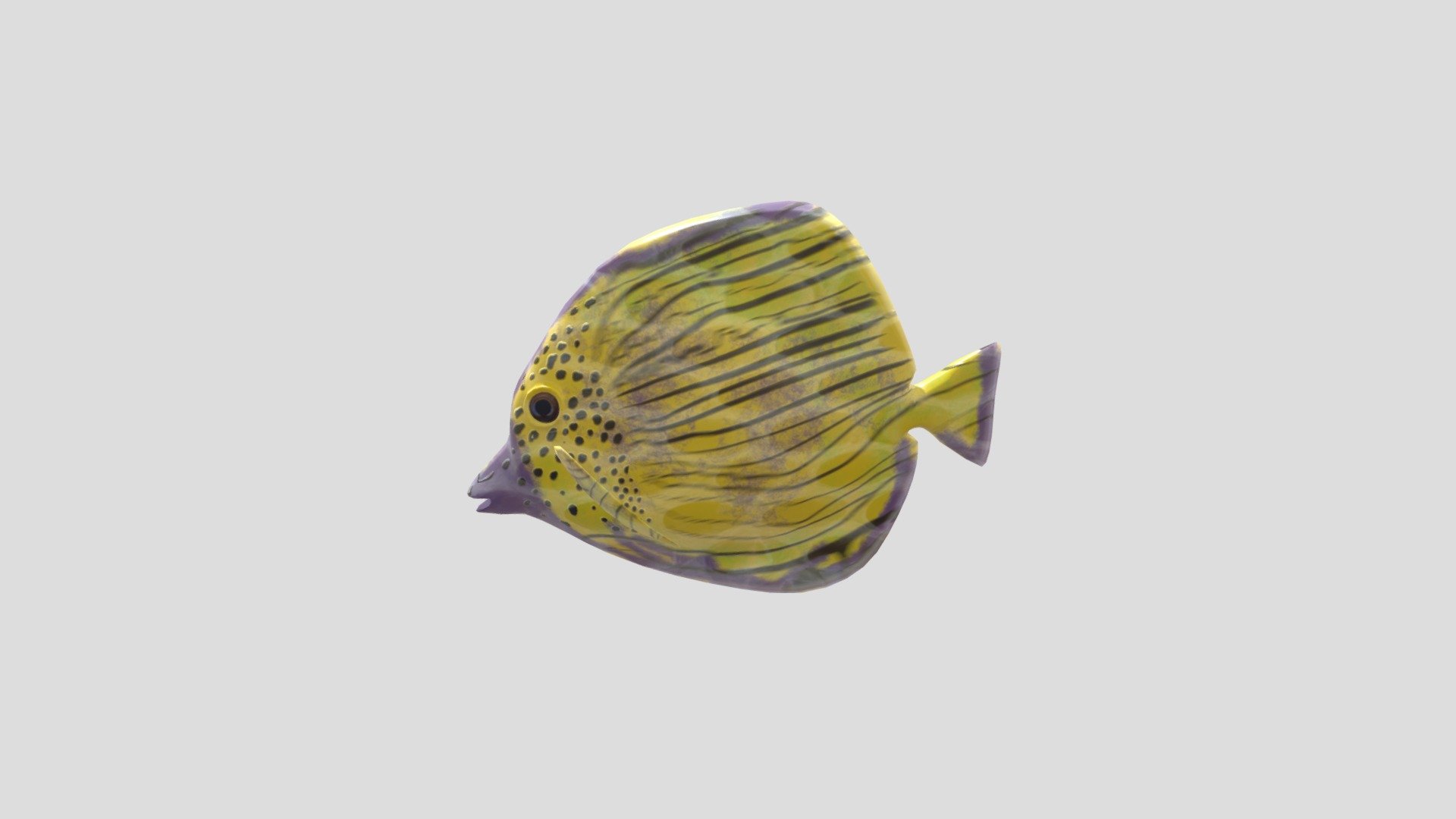 SGD-116_Fish_NSLester