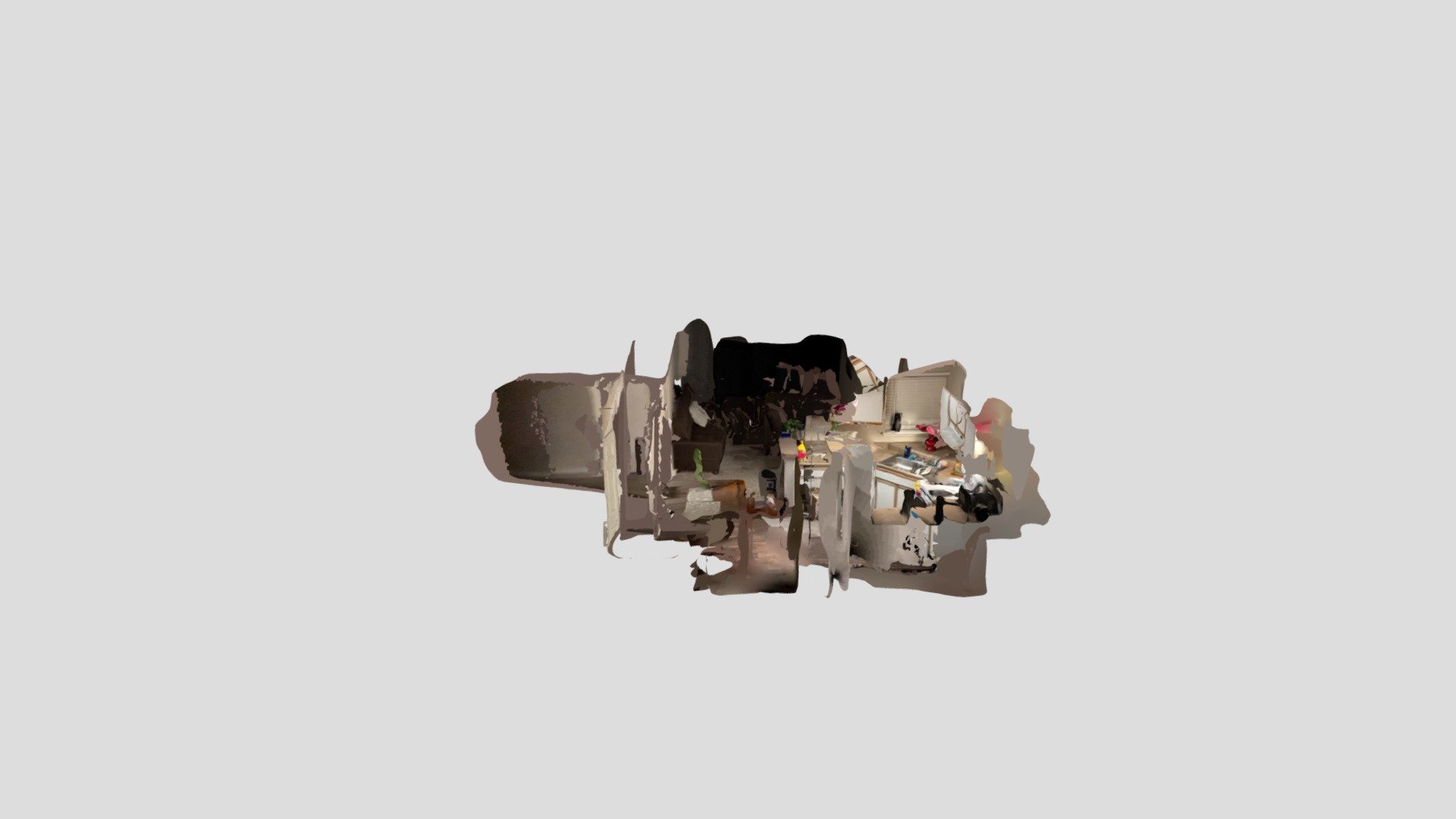 Polycam capture