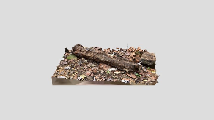 Scan 2022-12-13T05:12:58.484Z 3D Model