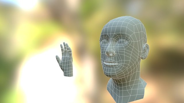 3D Head and Hand Model 3D Model