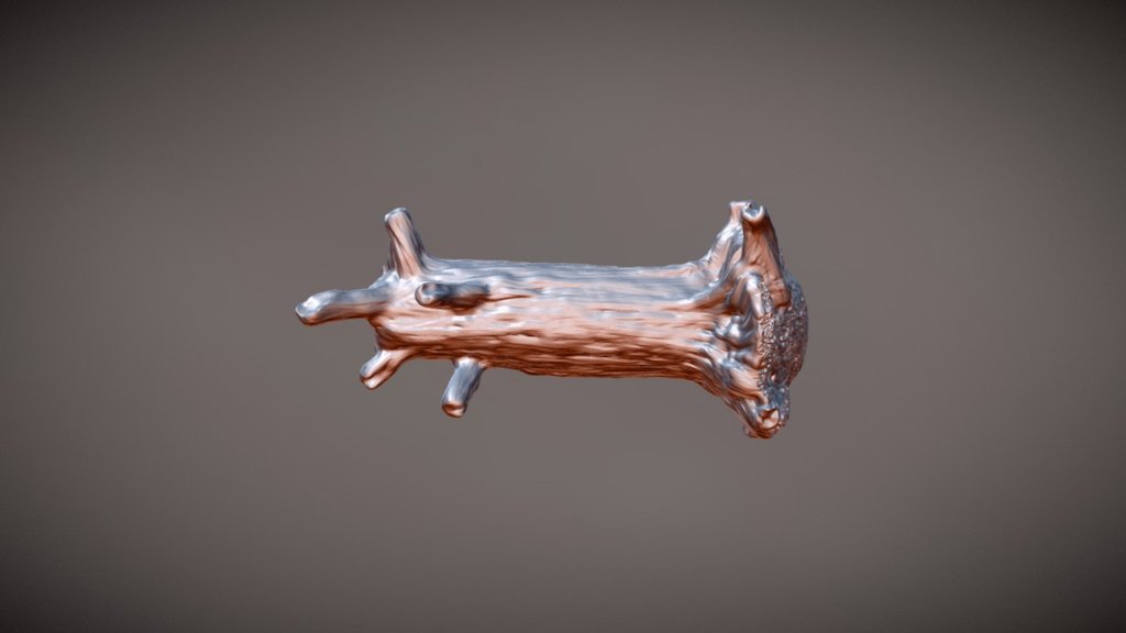 Fallentree - 3D model by fonty [ea81849] - Sketchfab