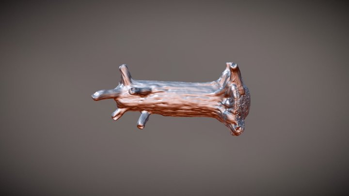 Fallentree 3D Model