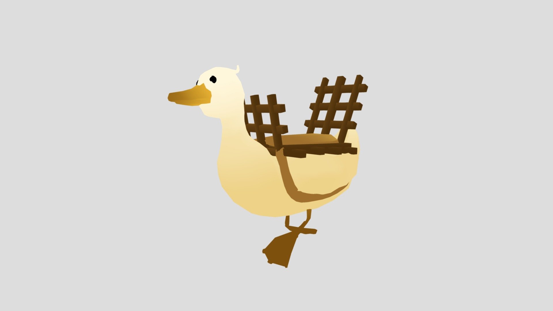 Duck