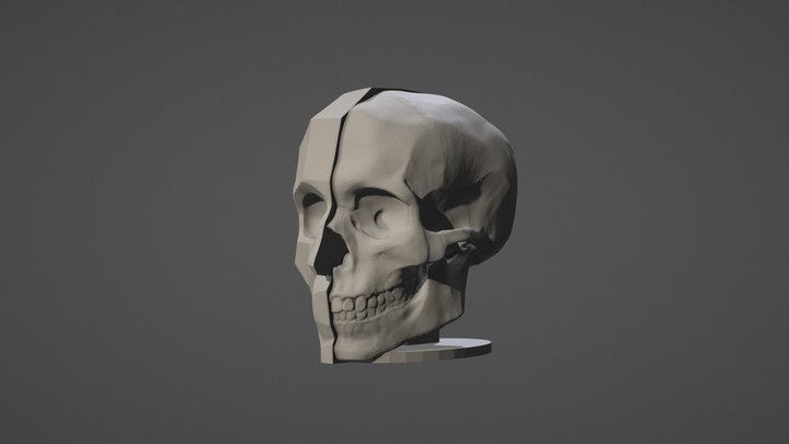 Planar vs Skull 3D Model