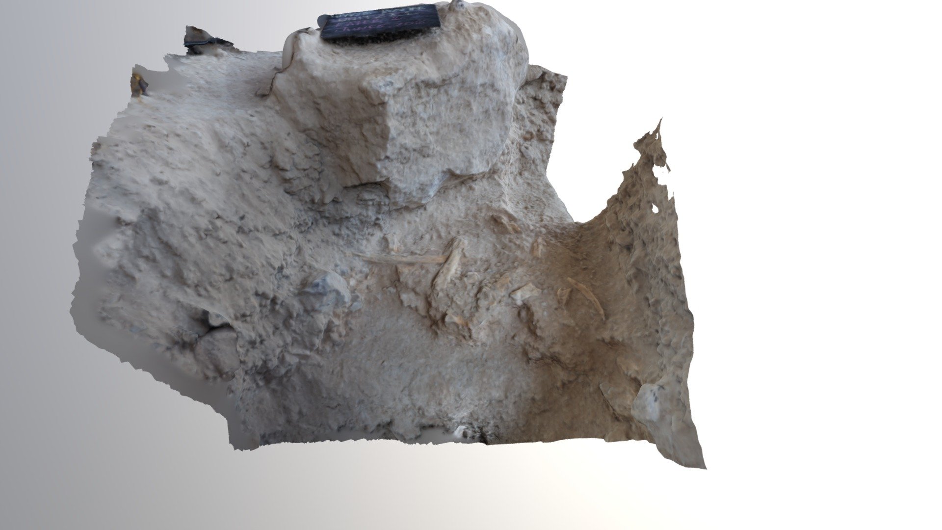 41VV0218 LV2 BISONMANDIBLES SFM FINAL