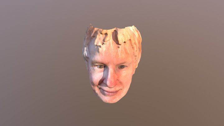 Headscan002 3D Model