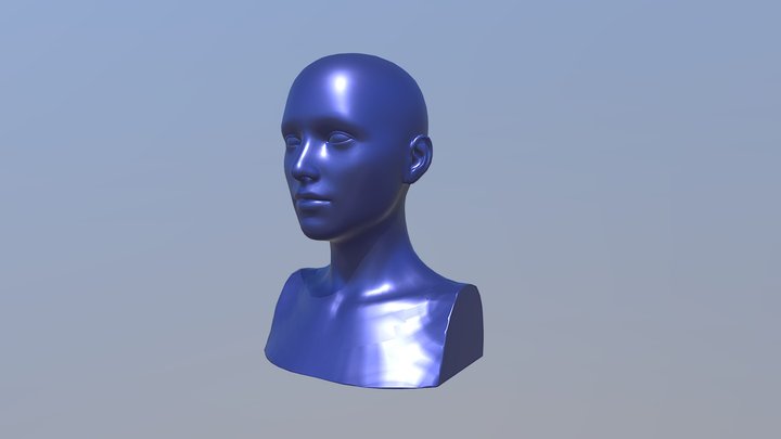 Bust Model - Female 01 3D Model