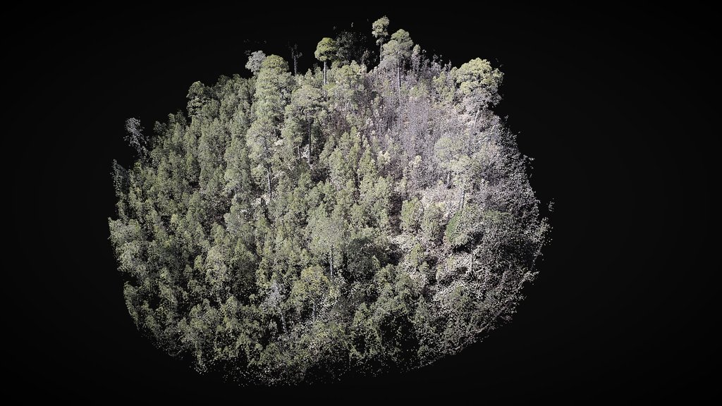 Point cloud, Cofre de Perote MX