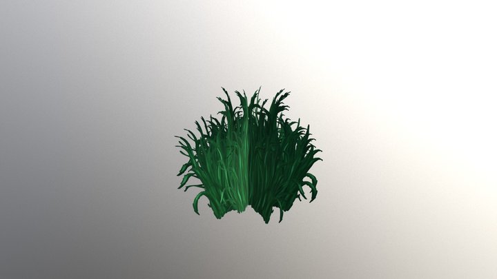 Kustik 3D Model